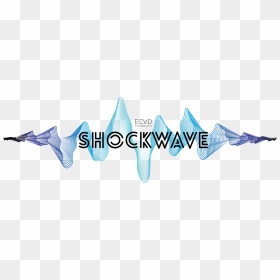 Shawn Mendes, HD Png Download - shockwave png