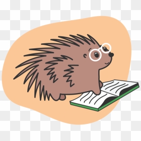 Porcupine-reading - New World Porcupine, HD Png Download - reading png