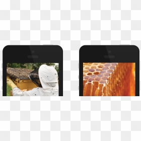 Slider, HD Png Download - bee hive png