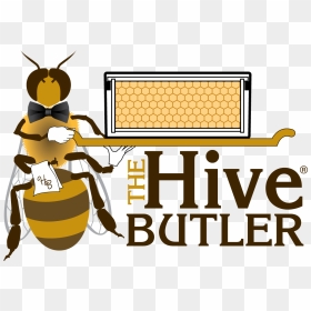 Transparent June Clip Art Free - Strayer University, HD Png Download - bee hive png