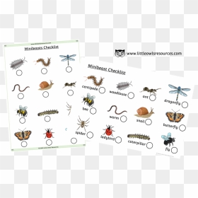 Minibeasts Check List - Printable Minibeast Hunt Sheet, HD Png Download - centipede png
