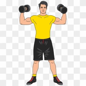 Barbell And Dumbbell Workout Clipart - Biceps Curl, HD Png Download - workout png