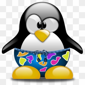Tux With Swimming Trunks Clip Arts - Penguin Swimming Clip Art, HD Png Download - trunks png