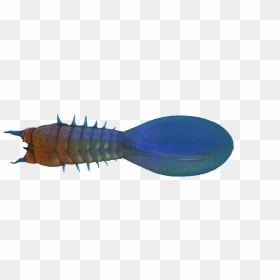 Subnautica Bleeder , Png Download - Subnautica Bleeder, Transparent Png - subnautica png