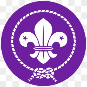 Scout Association Of Nigeria Logo, HD Png Download - wet emoji png