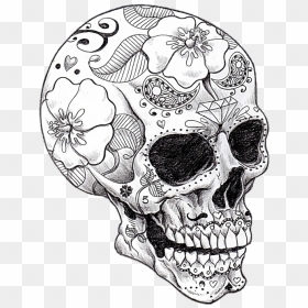 Transparent Skeletons Png - Dia De Los Muertos Skull Drawing, Png ...
