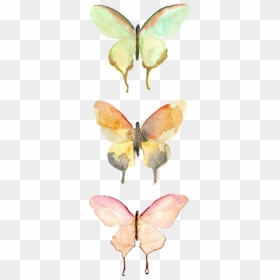 Watercolor Butterflies, HD Png Download - teletubbies sun png