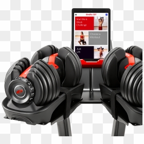 Selecttech Technology - Bowflex Dumbbell Stand, HD Png Download - dumbell png