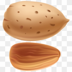 Almond Png - Clip Art, Transparent Png - almond png