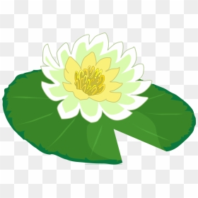 White Flower Water Lily Clipart The Cliparts Png - Cartoon Lily Pad Flower, Transparent Png - water lily png