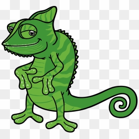 Cartoon Chameleon Transparent , Png Download - Cartoon Chameleon Png, Png Download - chameleon png