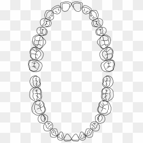 Dental Arch Png, Transparent Png - arch png
