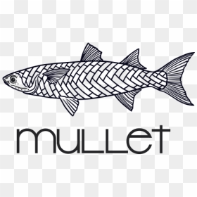 Coho, HD Png Download - mullet png