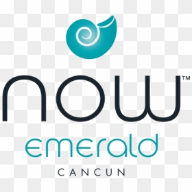 Portfolio Large Img - Hotel Now Jade Riviera Cancún Logo, HD Png Download - emerald png