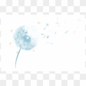 Jetlag Pm Relax - Dandelion, HD Png Download - relax png