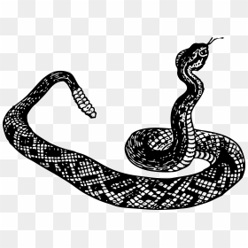 Clipart Snake Black Mamba, Clipart Snake Black Mamba, HD Png Download - snake head png