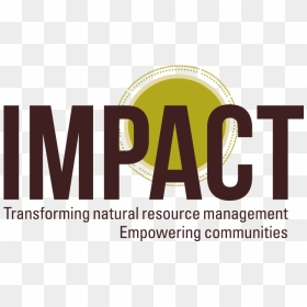 Impact - Graphic Design, HD Png Download - impact png