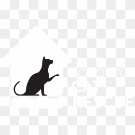 Cat Yawns, HD Png Download - cat tail png