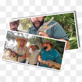 School Of Croc Pictures - Collage, HD Png Download - gator png