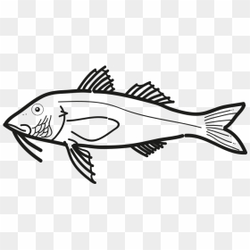 Salmonete Pseudupeneus Prayensis Frioantartic - Ray-finned Fish, HD Png Download - mullet png