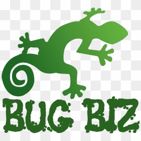 Bug Biz Reptile And Creepy Crawly Parties - Chameleon, HD Png Download - chameleon png