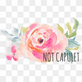 Image-5 Not Capulet Header Grey - Pink Watercolor Flower Bouquet Png Transparent, Png Download - pink watercolor png