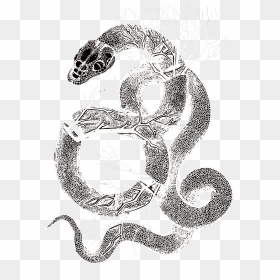 Transparent Serpent Clipart - Visual Arts, HD Png Download - snakes png