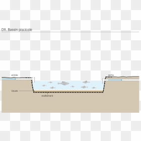 Diagram, HD Png Download - pond png