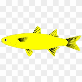 Tuna, HD Png Download - mullet png