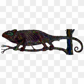 3 Клас Четене С Разбиране, HD Png Download - chameleon png