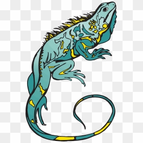 Bunglon Png, Transparent Png - chameleon png
