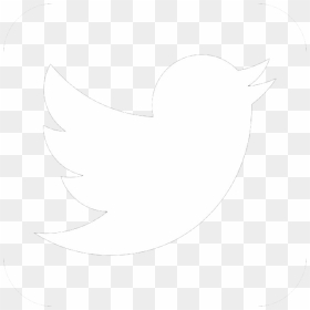 Trompeta Solista/soloist Trumpet - White Twitter Logo Transparent, HD Png Download - twitter logo png white