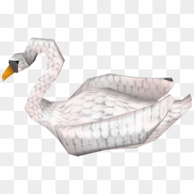 Swan, HD Png Download - swan png