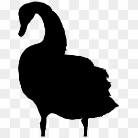 Swan Silhouette 4 Clip Arts - Geese Clipart Silhouette Png, Transparent Png - swan png