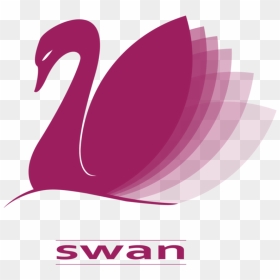 Thumb Image - Graphic Design, HD Png Download - swan png