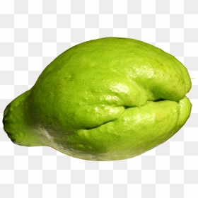 Fresh Chayote - Png Chayote, Transparent Png - squash png