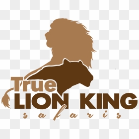 Img - Lion Vector, HD Png Download - safari png
