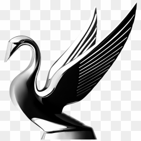 Black Swan, HD Png Download - swan png