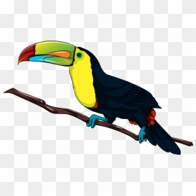 Toucan Clipart - Keel Billed Toucan Png, Transparent Png - toucan png