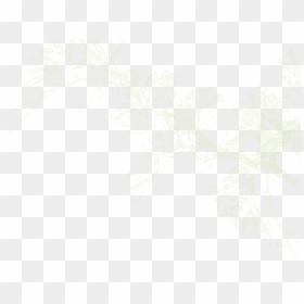 Foxtail Lily , Png Download - Drawing, Transparent Png - lily collins png