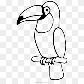 Toucan Coloring Page - Toucan Coloring Page Easy, HD Png Download - toucan png