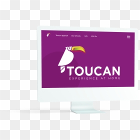 Toucan Experience At Home - Graphic Design, HD Png Download - toucan png