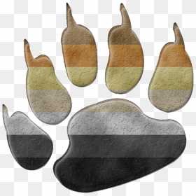 Illustration, HD Png Download - bear claw png