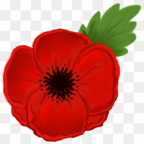 Poppy Clipart Remembrance Day Picture Transparent Download - Poppy Clipart, HD Png Download - poppy troll png