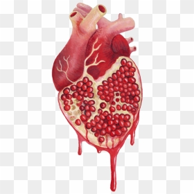 Pomegranate Heart Art, HD Png Download - anatomical heart png