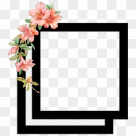 Image Photography Desktop Wallpaper Video - Pack De Recursos Para Edits Png, Transparent Png - png tumblr hipster
