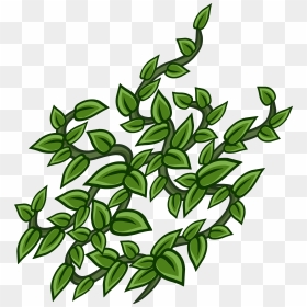 Official Club Penguin Online Wiki - Common Sage, HD Png Download - wall vines png