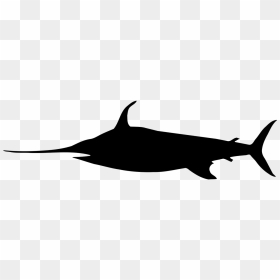 Black And White Sword Fish Png, Transparent Png - ocean fish png