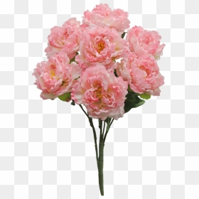 Pink Peony Bush X7 Sale Item - Peony, HD Png Download - peonies png