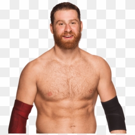 Sami Zayn Smiling - Sami Zayn Png, Transparent Png - sami zayn png